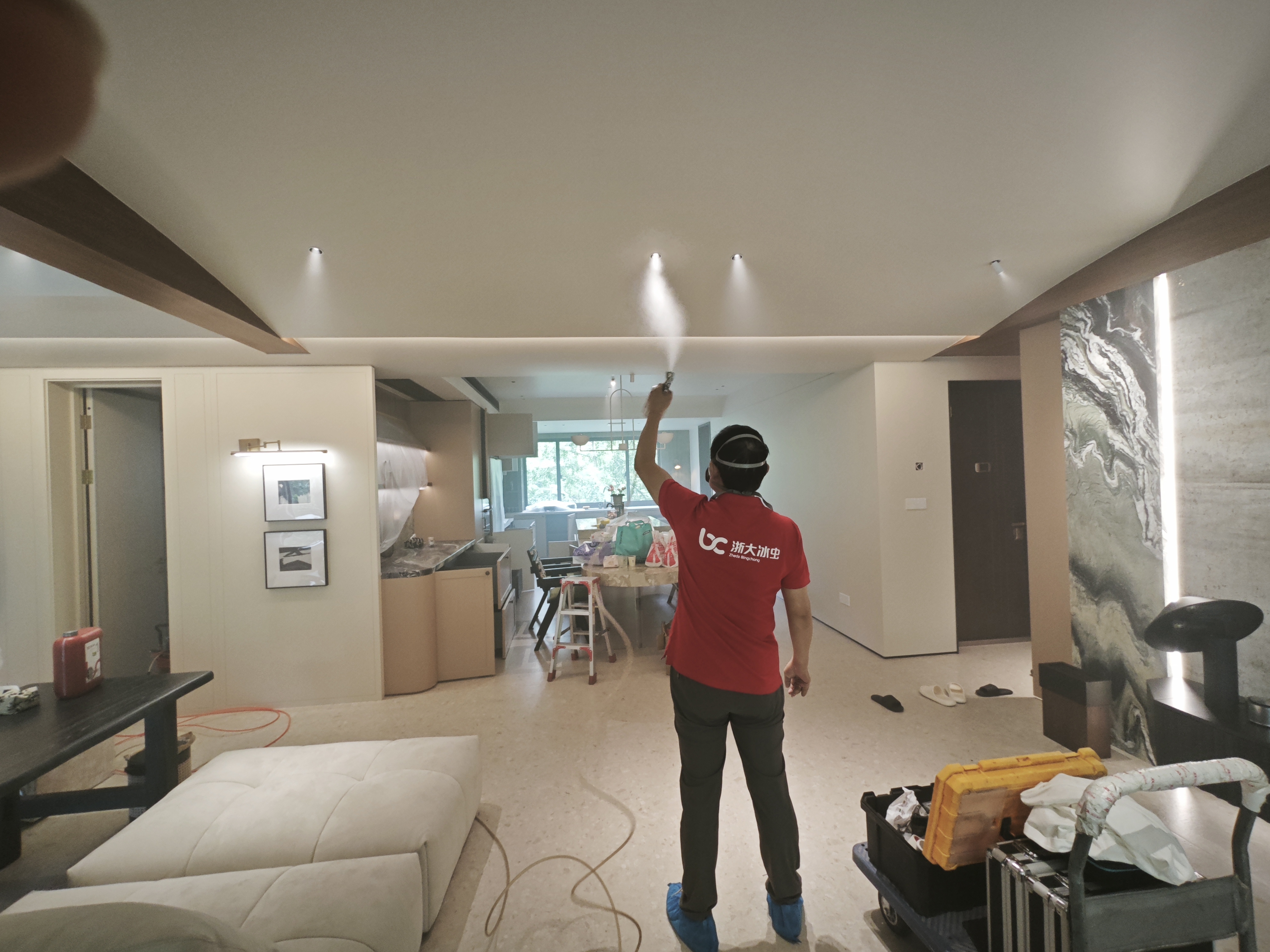 重庆冰虫除甲醛工程师