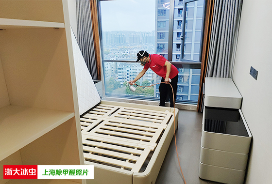重庆文章内容图.jpg