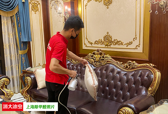 16785025794970606464.jpg 1.jpg