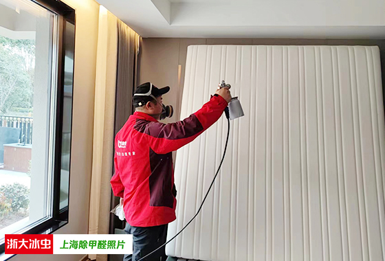 1679021040718243pE31.jpg 6.jpg