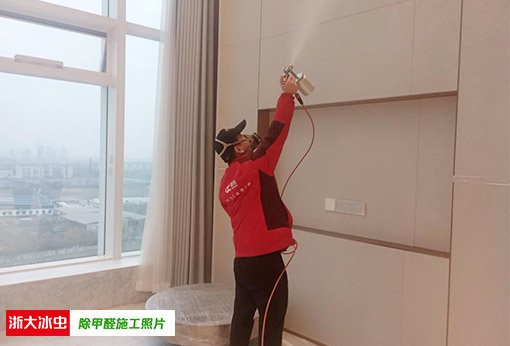 重庆除甲醛家公司最专业